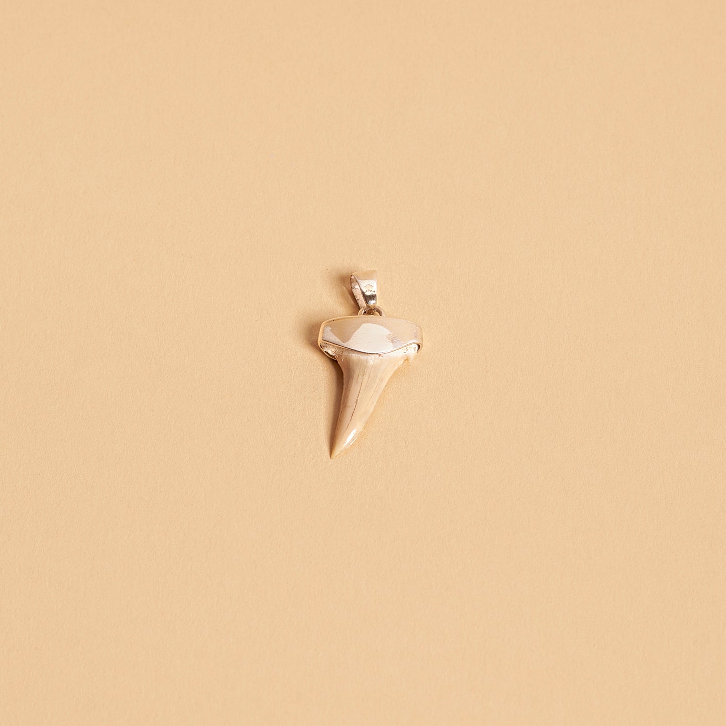 BASIMA shark tooth fossil pendant