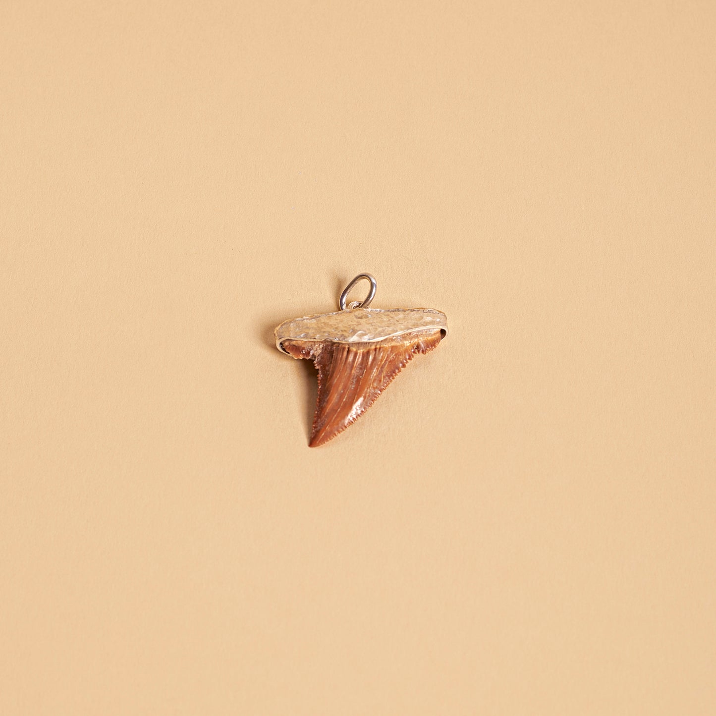 BASIMA shark tooth fossil pendant